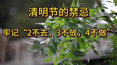 清明节的禁忌|清明节的禁忌